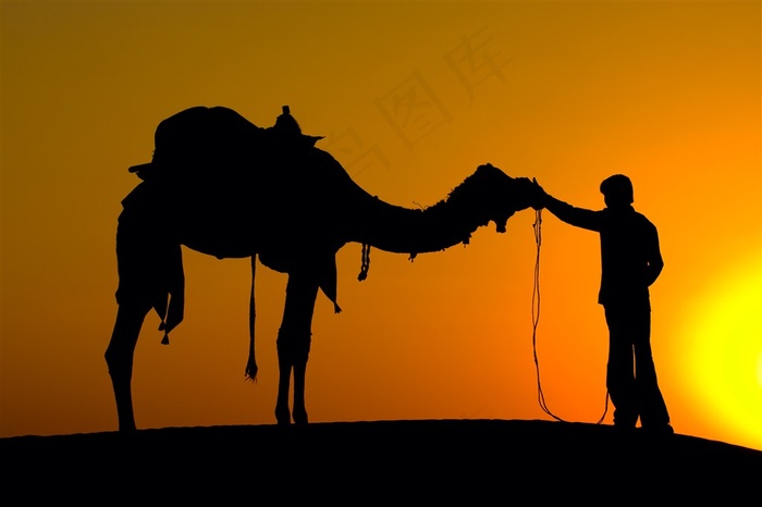 海岸上牵骆驼的人