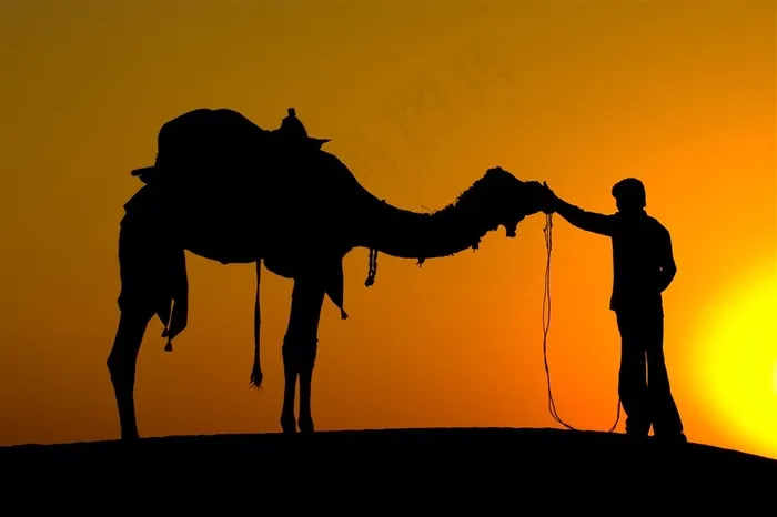 海岸上牵骆驼的人