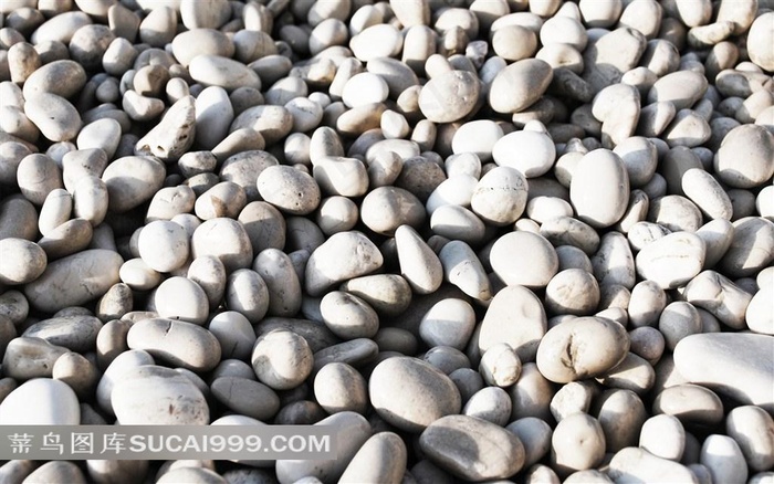 鹅卵石图片欣赏