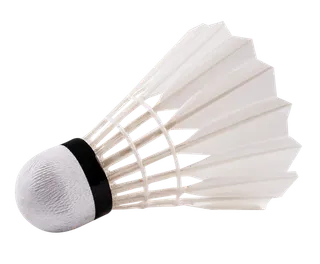 羽毛球羽毛球类