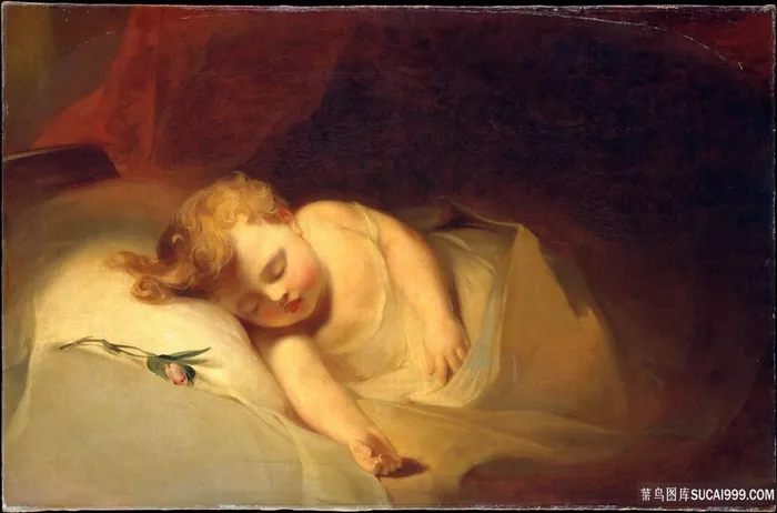 托马斯・萨利，睡着的孩子(玫瑰花蕾)油画图片