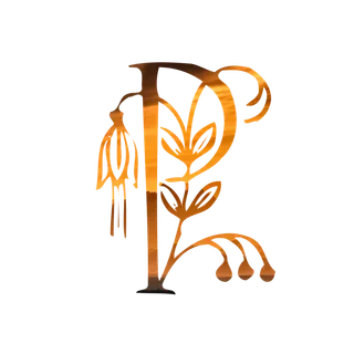 字母P金黄色插画海报