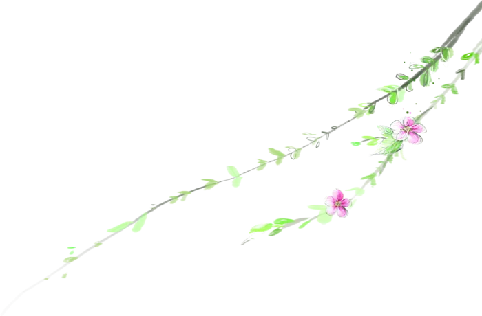 粉色简约风手绘鲜花花朵水墨画PNG素材图片 (84)