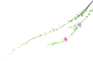 粉色简约风手绘鲜花花朵水墨画PNG素材图片 (84)