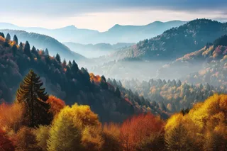 秋天森林山脉高山云层雾气摄影图