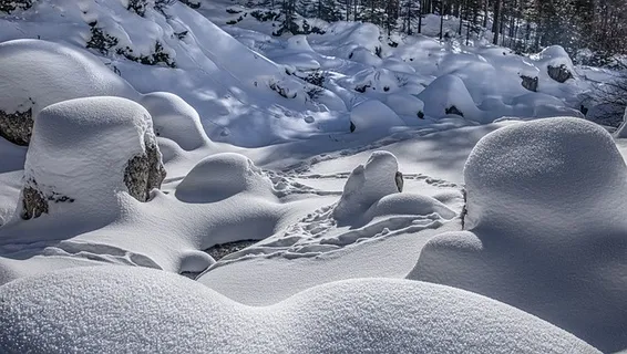 冬天白雪背景风景