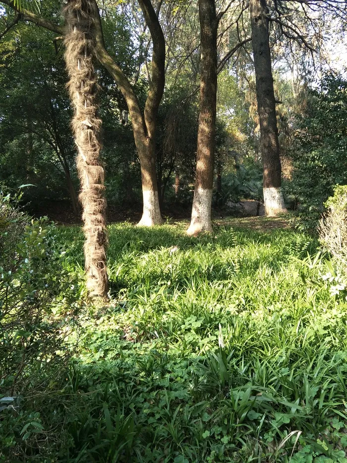 秋日的风景