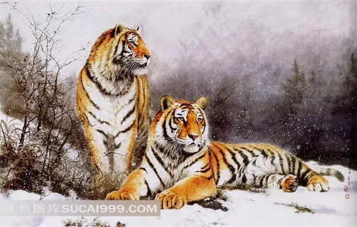 双虎绘画图片 双虎绘画图片