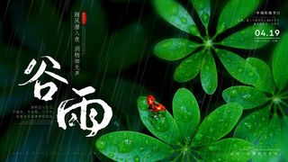 谷雨 谷雨海报模板