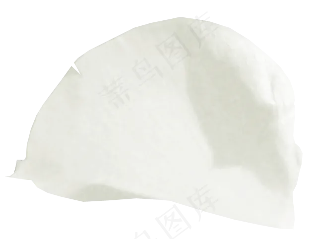 花瓣花朵免扣图片 