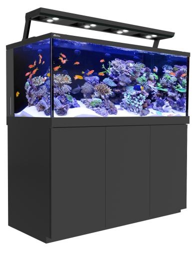 水族馆 PNG免抠