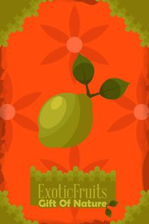 自然风景动物植物扁平矢量插画