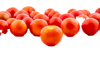 西红柿 (14)超市商品白底图免抠实物摄影png格式图片透明底