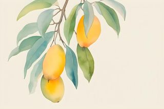 芒果水彩国风背景