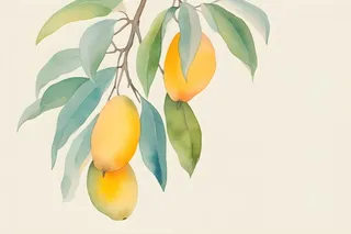 芒果水彩国风背景