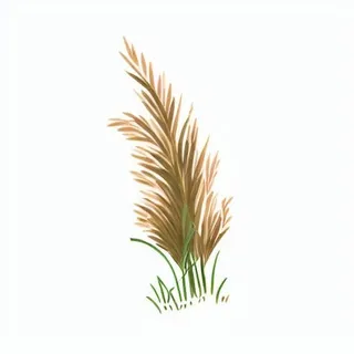 一支草插画手绘png免抠