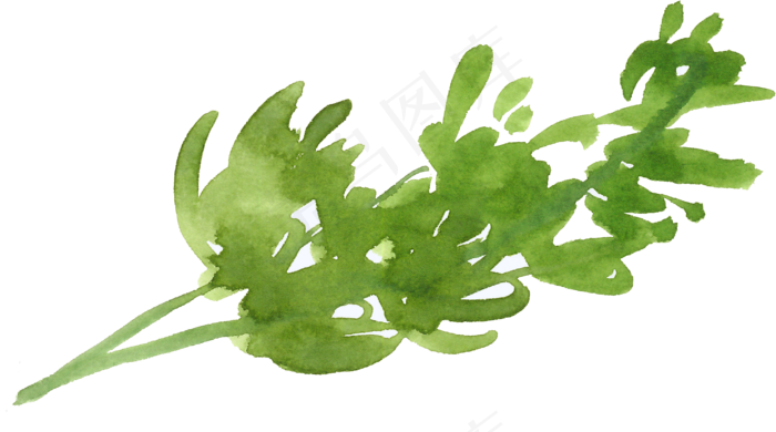 冬季圣诞节花卉果花圈植物免抠海报PNG素材