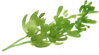 冬季圣诞节花卉果花圈植物免抠海报PNG素材