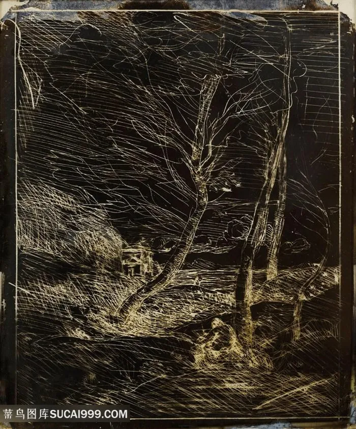 柯罗手绘树木简约插画