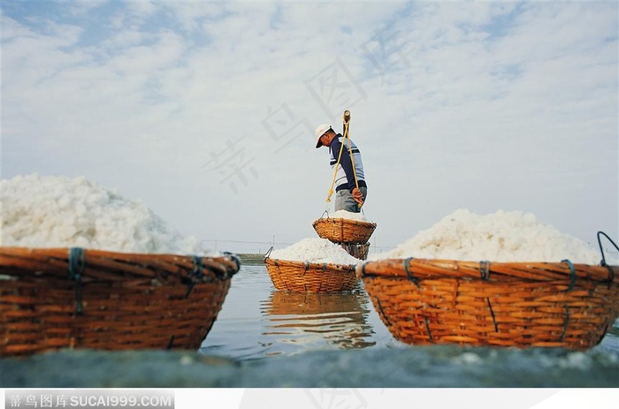 现在农业-正在收集盐的盐农