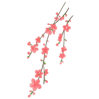 春天浪漫粉红色樱花手绘樱花梅花桃花花朵图片PNG免扣素材