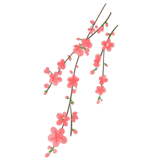 春天浪漫粉红色樱花手绘樱花梅花桃花花朵图片PNG免扣素材