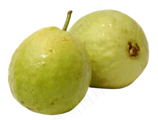 番石榴免抠素材 (9)