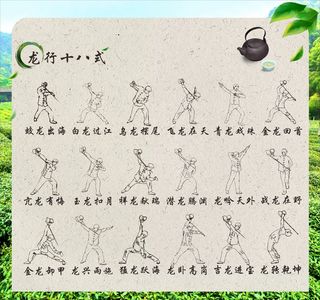 茶文化龙行十八式