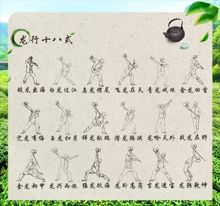 茶文化龙行十八式