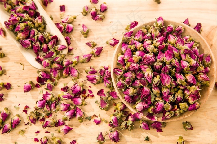 苦水玫瑰玫瑰花摄影