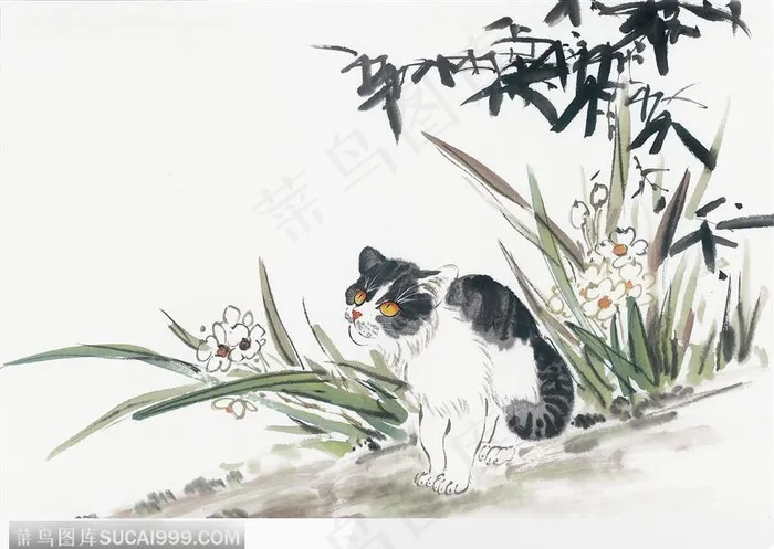 兰花旁的小猫