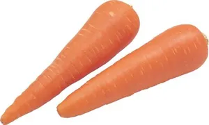 胡萝卜 PNG免抠