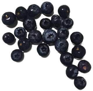 一堆蓝莓颗粒果切免抠实物实拍摄影元素素材