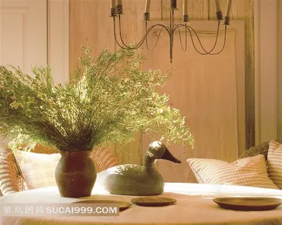 家居餐桌上的碟子鸭子和植物