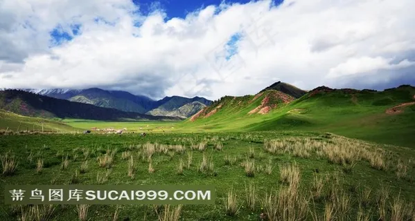 草原风景 草原风景