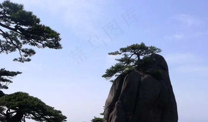 蓝天背景中石峰上的迎客松
