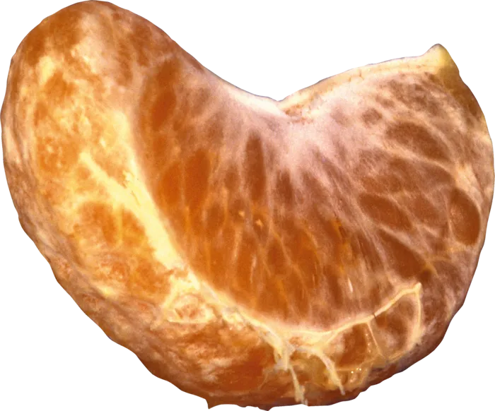 橘子免抠素材 (9)