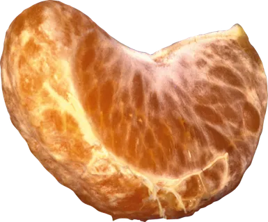 橘子免抠素材 (9)