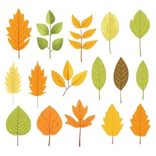 秋天黄色叶子树叶插画免抠