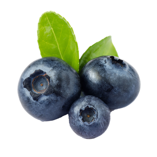 蓝莓 (11)水果超市商品白底图免抠实物摄影png格式图片透明底