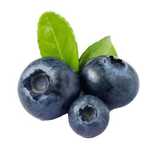 蓝莓 (11)水果超市商品白底图免抠实物摄影png格式图片透明底