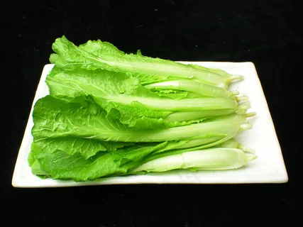 小白菜      小白菜