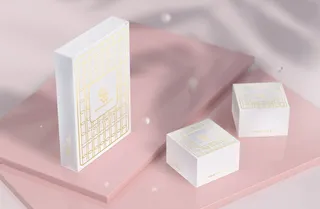 包装智能贴图样机VI效果PSD素材