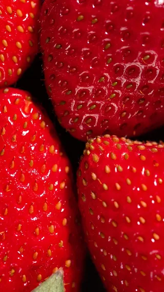 草莓水果背景素材