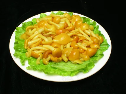 滑仔菇     滑仔菇
