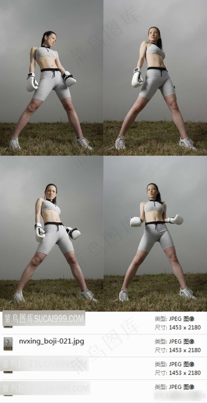 拳击性感美女素材