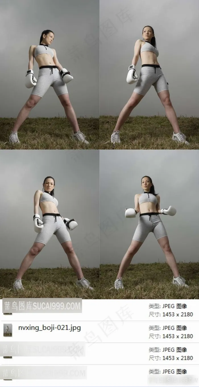 拳击性感美女素材