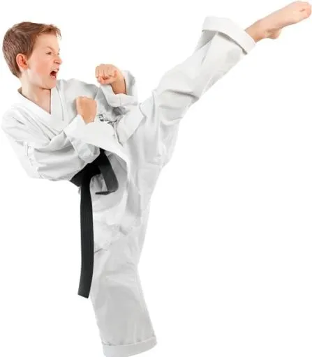 跆拳道 PNG免抠(514x588)