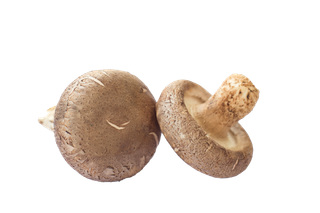 香菇 (7)超市商品白底图免抠实物摄影png格式图片透明底