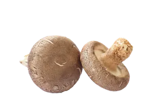 香菇 (7)超市商品白底图免抠实物摄影png格式图片透明底